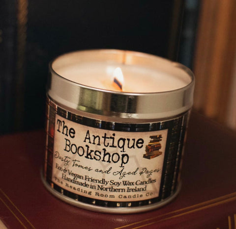 The Antique Bookshop- Dusty Tomes and Aged Pages