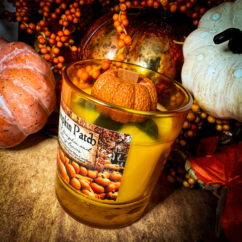 Pumpkin Patch Ltd Edition Candle- Spiced Pumpkin and Falling Leaves