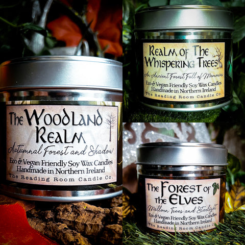 Woodland Realm-Autumnal Forest & Shadow