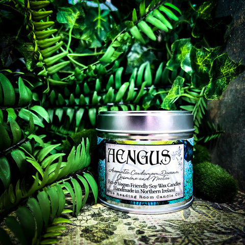 Aengus- Aromatic Cardamon, Davana, Jasmine and Nectar