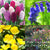 The Gardens at Pemberley- Pride & Prejudice Inspired-Hyacinth, Bluebell and Primrose
